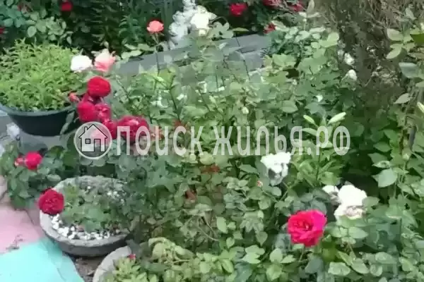 «Южный дворик», Архипо-Осиповка «Южный дворик», Архипо-Осиповка