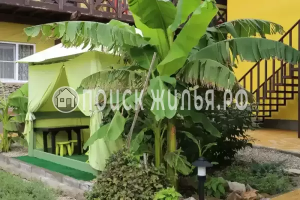 «Верные друзья», Архипо-Осиповка «Верные друзья», Архипо-Осиповка