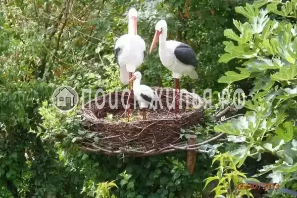 «У Руслана», Лермонтово