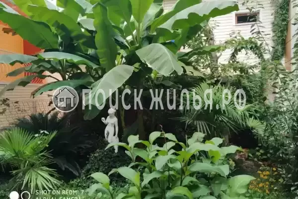 «Райский уголок», Лазаревское «Райский уголок», Лазаревское