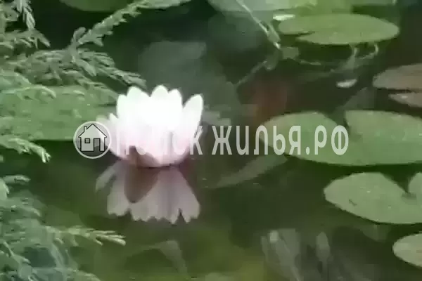 Дом под ключ «Сосновый бор», Лазаревское Дом под ключ «Сосновый бор», Лазаревское