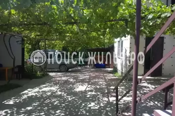 «На Садовой», Пляхо