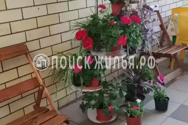 «Самый центр», Анапа