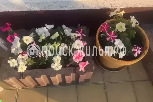 «На Приазовской», Голубицкая «На Приазовской», Голубицкая