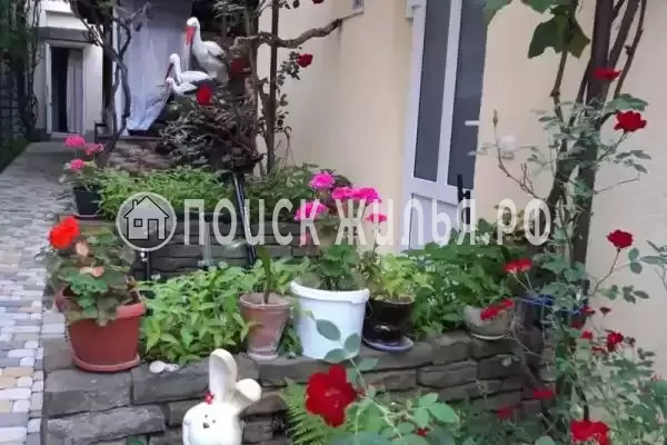 «Золотая рыбка», Архипо-Осиповка «Золотая рыбка», Архипо-Осиповка