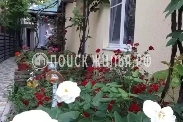 «Золотая рыбка», Архипо-Осиповка «Золотая рыбка», Архипо-Осиповка