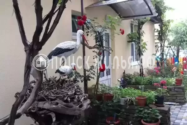 «Золотая рыбка», Архипо-Осиповка «Золотая рыбка», Архипо-Осиповка