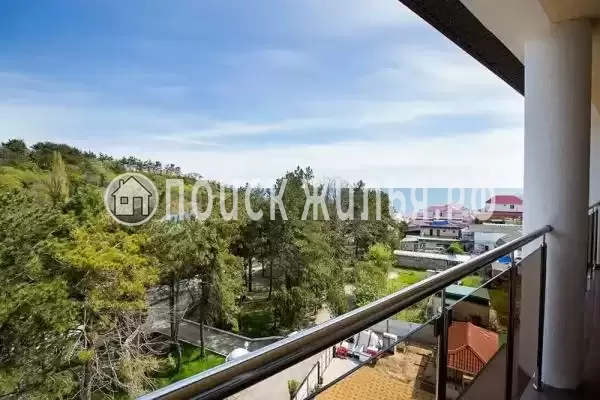 «Парус», Бетта