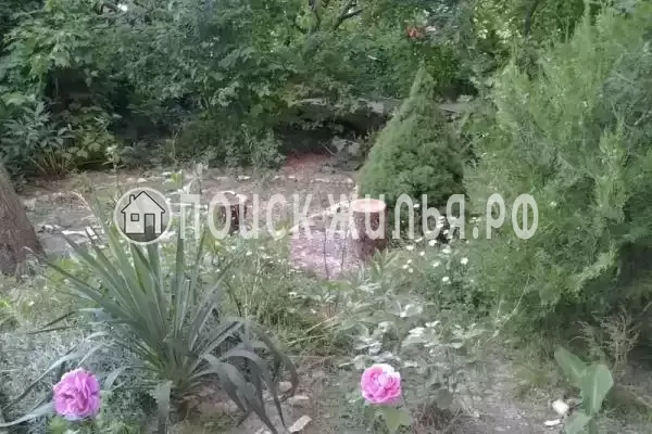 «Шамбала», Архипо-Осиповка