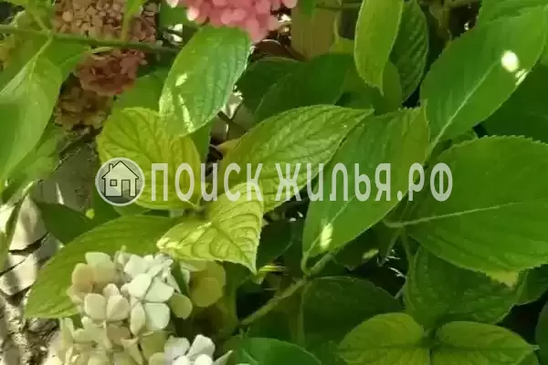 «На Киевской», Адлер «На Киевской», Адлер