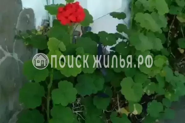 «На Киевской», Адлер «На Киевской», Адлер