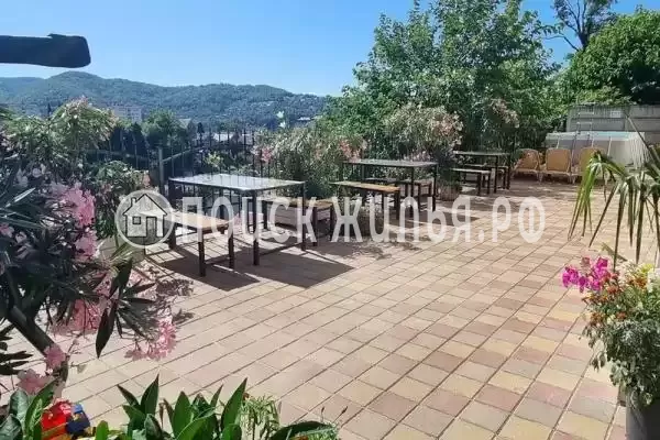 «У Кота», Лазаревское