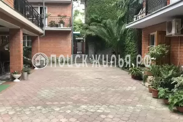 «Василек», Лазаревское «Василек», Лазаревское