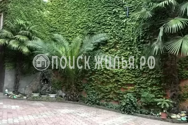 «Василек», Лазаревское «Василек», Лазаревское