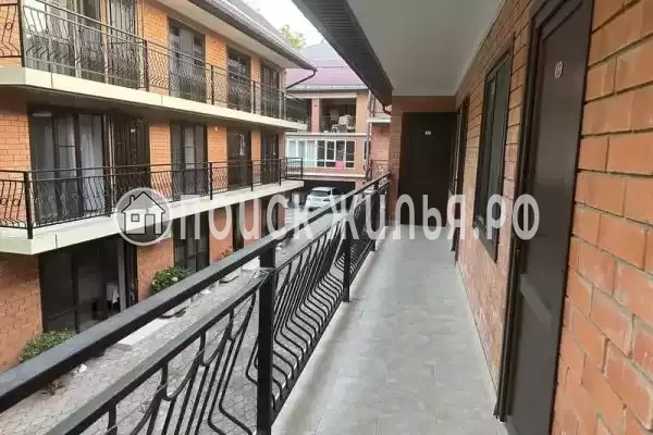 «Василек», Лазаревское «Василек», Лазаревское