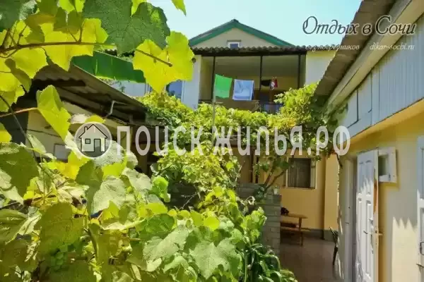 Гостевой дом «У Аркадия», Адлер