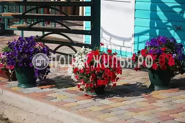 «Чайка», Голубицкая «Чайка», Голубицкая