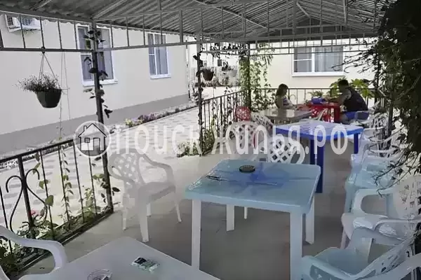 «Венера», Голубицкая