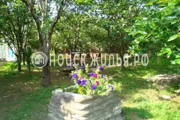 «Злата», Головинка «Злата», Головинка