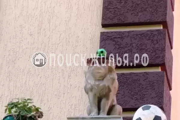 «Волжанин», Лазаревское «Волжанин», Лазаревское