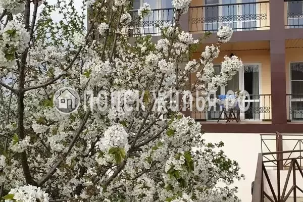 «Южныйветер.РФ», Архипо-Осиповка