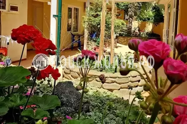 «Галчонок», Лазаревское