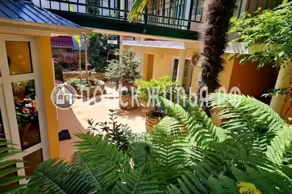 «Галчонок», Лазаревское