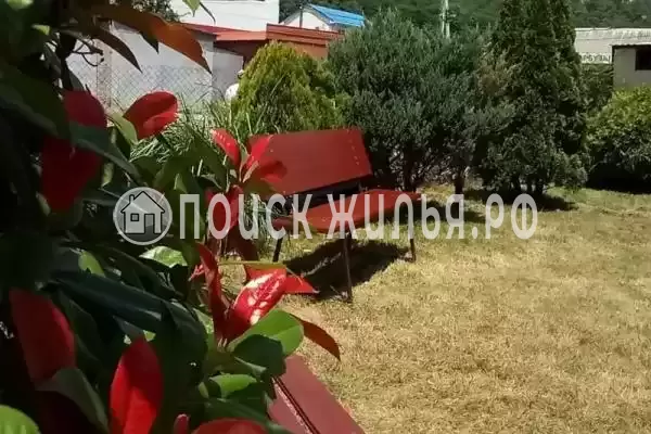 «EllaDen», Ольгинка