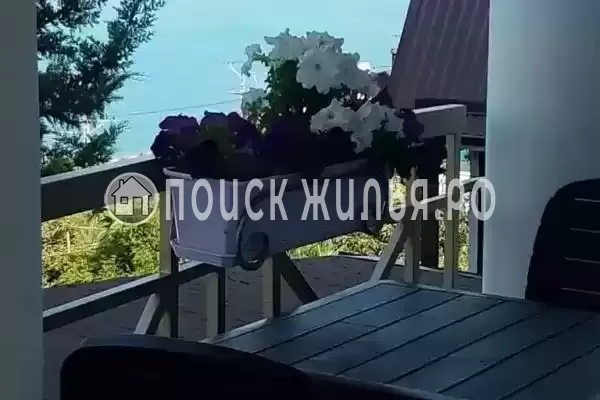 «Магас», Лазаревское «Магас», Лазаревское