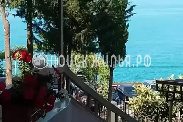 «Магас», Лазаревское «Магас», Лазаревское