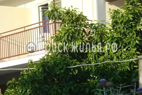 «Бригантина», Головинка