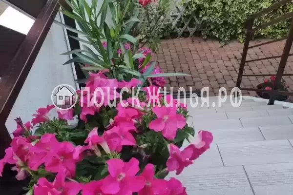 «Аир», Геленджик «Аир», Геленджик