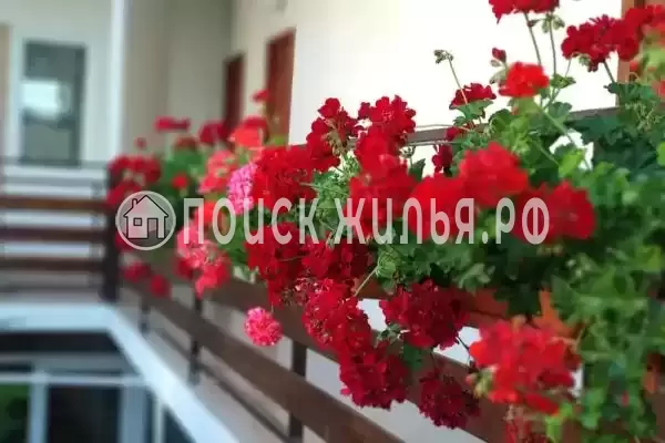 «Аир», Геленджик «Аир», Геленджик