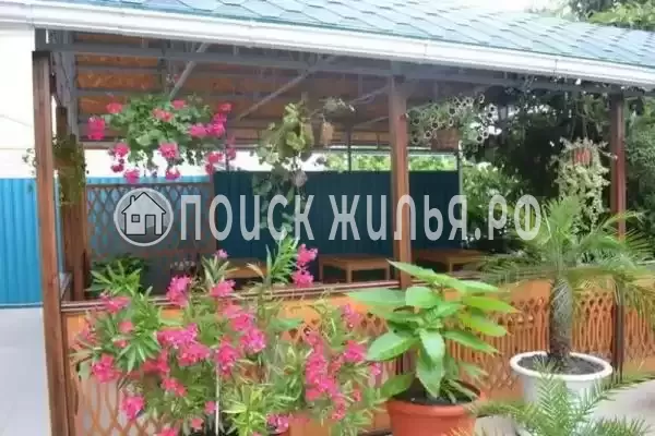 «Парус», Лазаревское