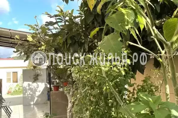 «У дяди Вани», Лоо