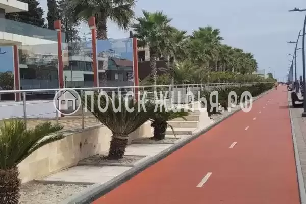 «Арарат», Сириус «Арарат», Сириус