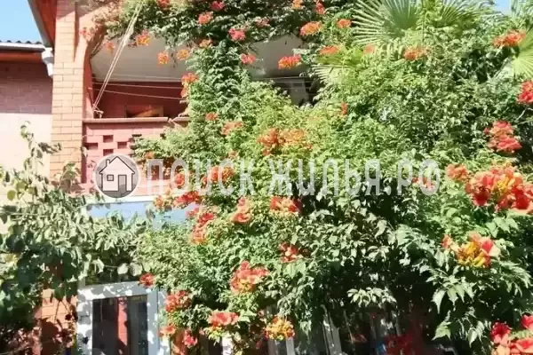 «У тети Вали», Лазаревское «У тети Вали», Лазаревское