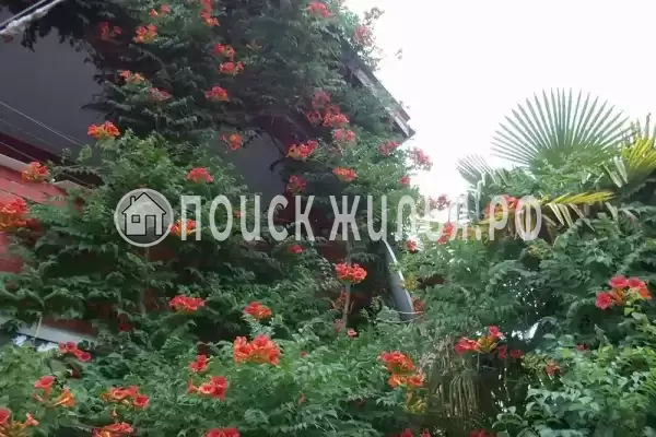 «У тети Вали», Лазаревское «У тети Вали», Лазаревское