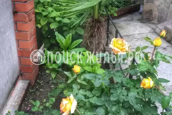 «Вероника», Лазаревское «Вероника», Лазаревское