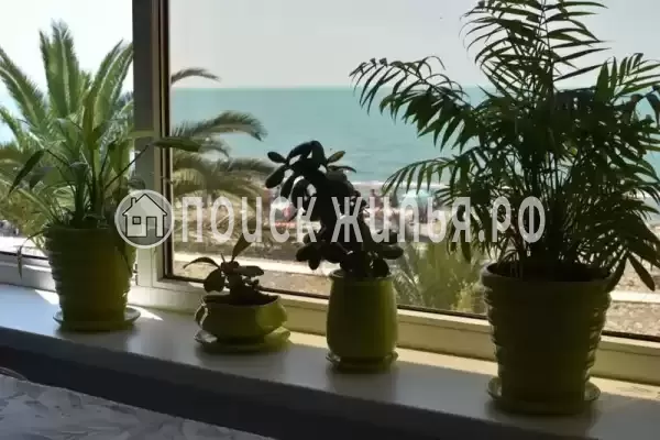 «Галерея», Лазаревское