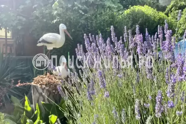 «Надежда», Архипо-Осиповка