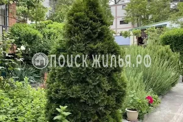 «Надежда», Архипо-Осиповка