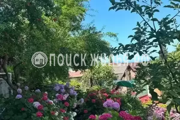 «Ольга+», Лазаревское