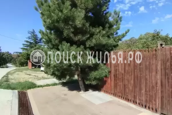 «У Антонины», Пляхо