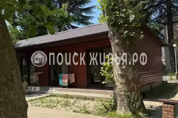 «Олеандр», Лазаревское