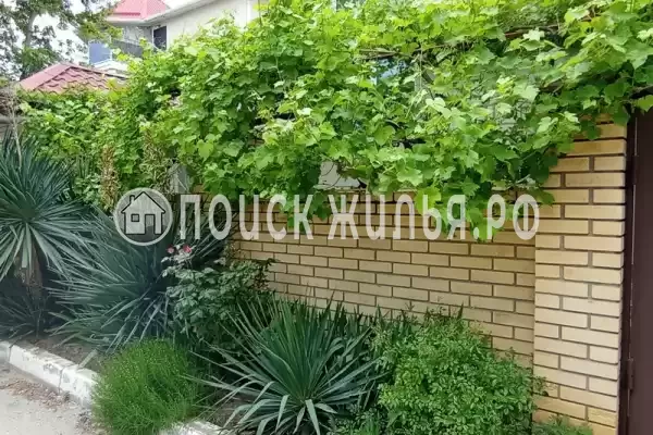 «Лотос», Анапа