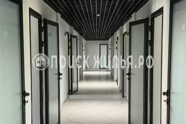 «Fox», Лермонтово «Fox», Лермонтово