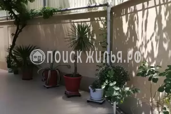 «Соло», Лазаревское