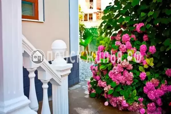 «Самшит», Якорная Щель