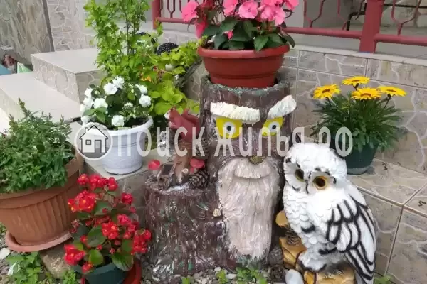 «Панорама», Ольгинка «Панорама», Ольгинка